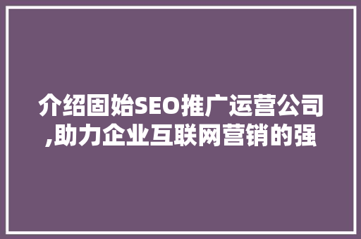 介绍固始SEO推广运营公司,助力企业互联网营销的强力引擎