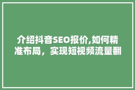 介绍抖音SEO报价,如何精准布局，实现短视频流量翻倍