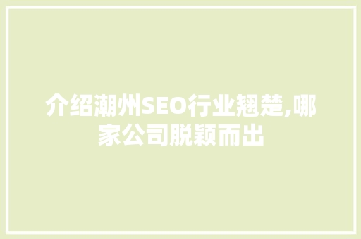 介绍潮州SEO行业翘楚,哪家公司脱颖而出