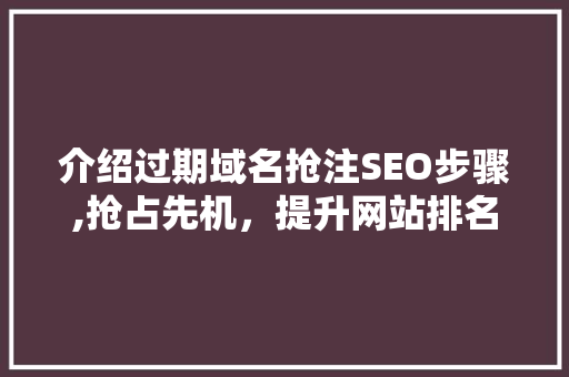 介绍过期域名抢注SEO步骤,抢占先机，提升网站排名