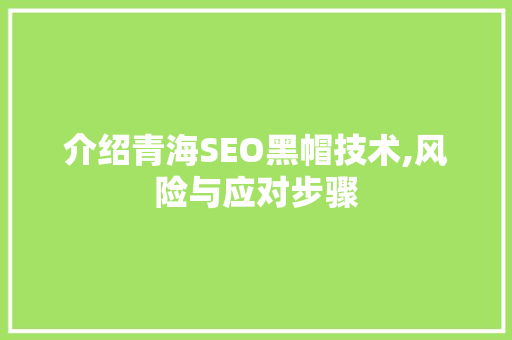 介绍青海SEO黑帽技术,风险与应对步骤