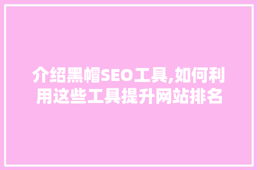 介绍黑帽SEO工具,如何利用这些工具提升网站排名  第1张