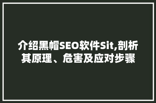 介绍黑帽SEO软件Sit,剖析其原理、危害及应对步骤