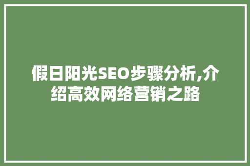 假日阳光SEO步骤分析,介绍高效网络营销之路
