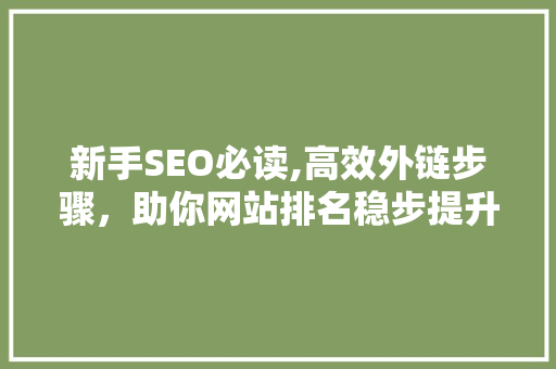 新手SEO必读,高效外链步骤，助你网站排名稳步提升