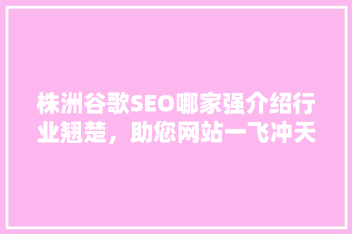 株洲谷歌SEO哪家强介绍行业翘楚，助您网站一飞冲天
