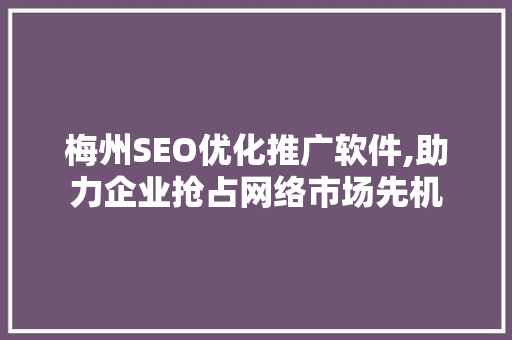 梅州SEO优化推广软件,助力企业抢占网络市场先机  第1张
