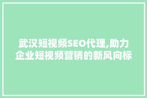 武汉短视频SEO代理,助力企业短视频营销的新风向标