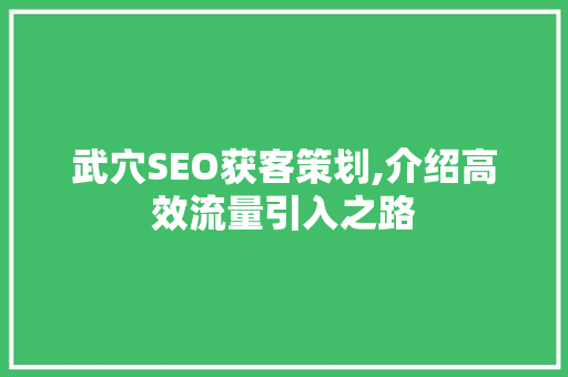 武穴SEO获客策划,介绍高效流量引入之路