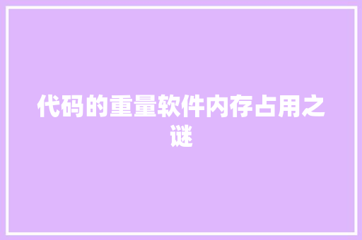代码的重量软件内存占用之谜