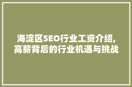 海淀区SEO行业工资介绍,高薪背后的行业机遇与挑战