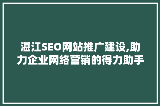 湛江SEO网站推广建设,助力企业网络营销的得力助手