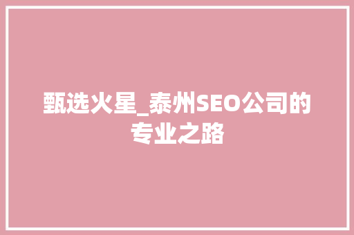 甄选火星_泰州SEO公司的专业之路  第1张