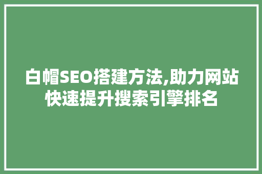 白帽SEO搭建方法,助力网站快速提升搜索引擎排名