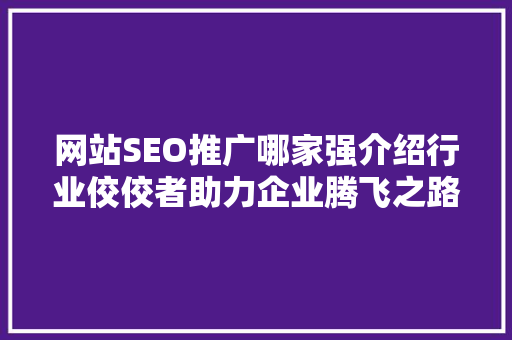 网站SEO推广哪家强介绍行业佼佼者助力企业腾飞之路