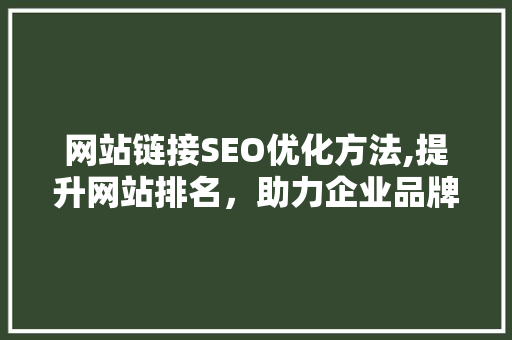 网站链接SEO优化方法,提升网站排名，助力企业品牌传播