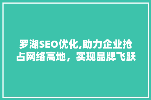 罗湖SEO优化,助力企业抢占网络高地，实现品牌飞跃