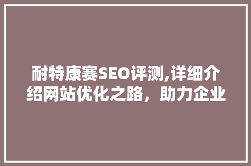 耐特康赛SEO评测,详细介绍网站优化之路，助力企业提升在线竞争力