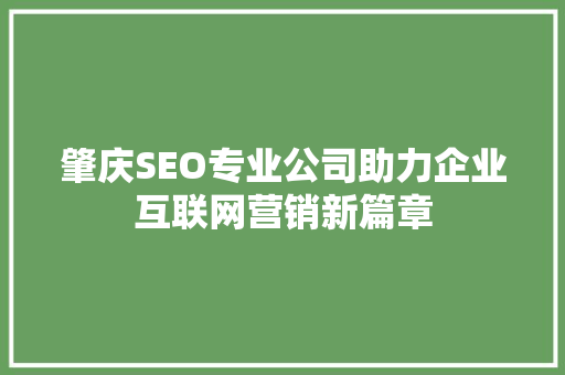 肇庆SEO专业公司助力企业互联网营销新篇章