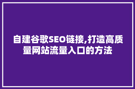 自建谷歌SEO链接,打造高质量网站流量入口的方法