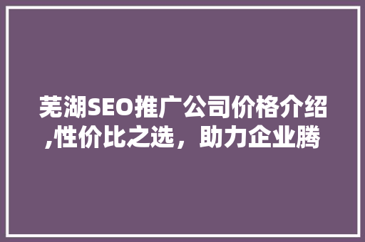芜湖SEO推广公司价格介绍,性价比之选，助力企业腾飞