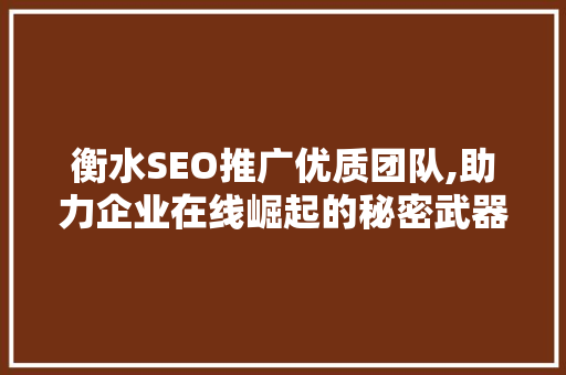 衡水SEO推广优质团队,助力企业在线崛起的秘密武器