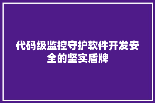 代码级监控守护软件开发安全的坚实盾牌