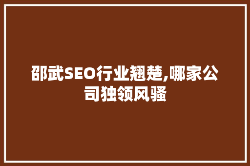 邵武SEO行业翘楚,哪家公司独领风骚