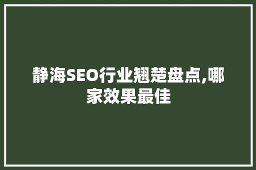 静海SEO行业翘楚盘点,哪家效果最佳