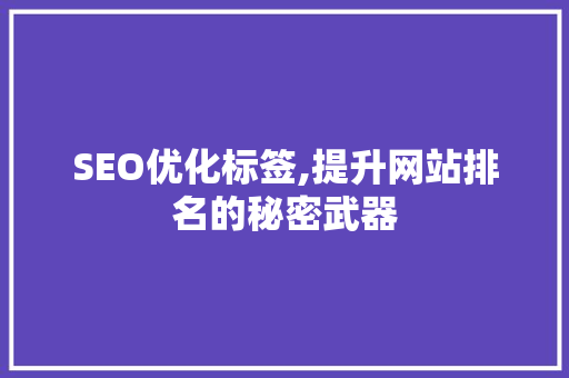SEO优化标签,提升网站排名的秘密武器