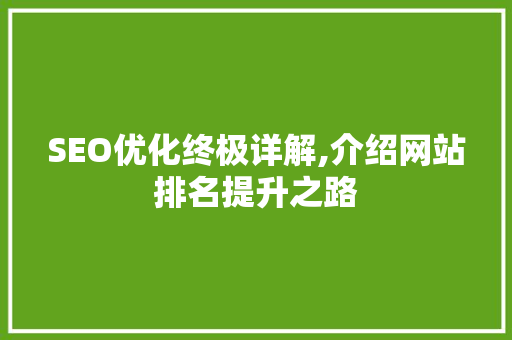 SEO优化终极详解,介绍网站排名提升之路