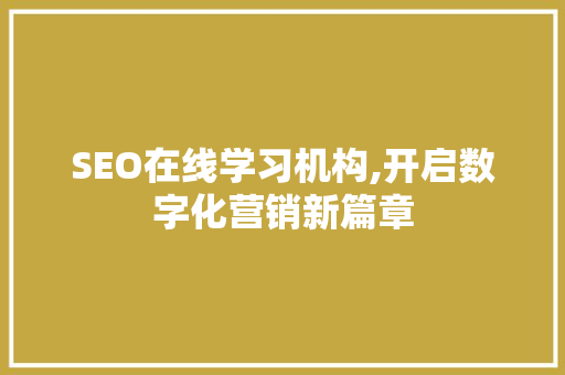 SEO在线学习机构,开启数字化营销新篇章