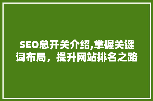 SEO总开关介绍,掌握关键词布局，提升网站排名之路