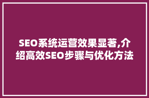 SEO系统运营效果显著,介绍高效SEO步骤与优化方法  第1张