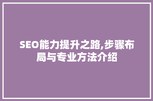SEO能力提升之路,步骤布局与专业方法介绍