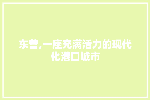 东营,一座充满活力的现代化港口城市