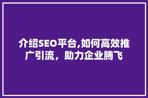 介绍SEO平台,如何高效推广引流，助力企业腾飞  第1张