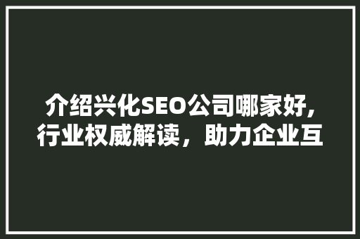 介绍兴化SEO公司哪家好,行业权威解读，助力企业互联网营销