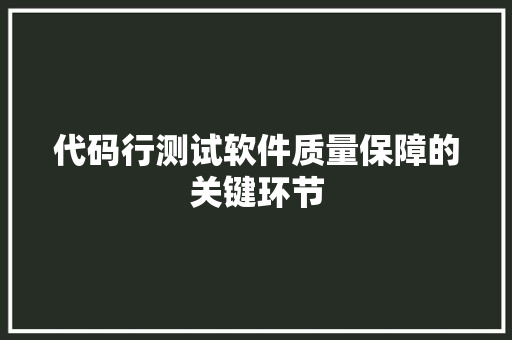 代码行测试软件质量保障的关键环节