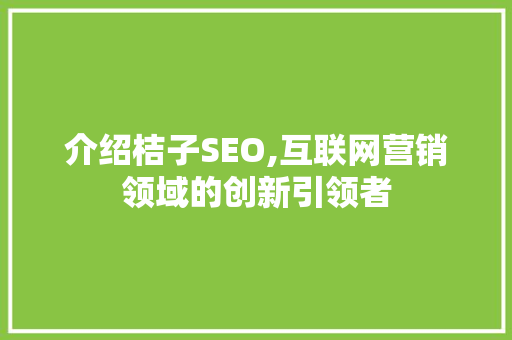 介绍桔子SEO,互联网营销领域的创新引领者