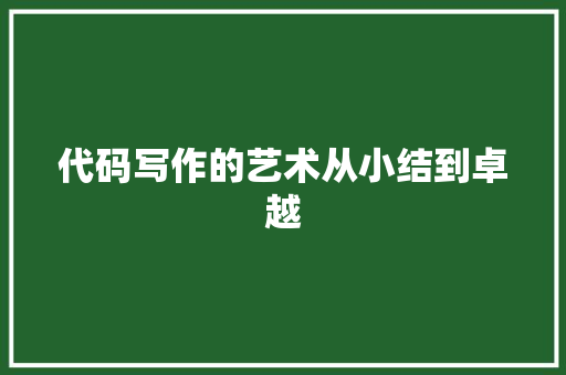 代码写作的艺术从小结到卓越
