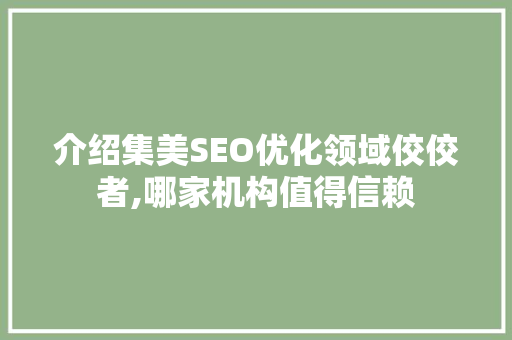 介绍集美SEO优化领域佼佼者,哪家机构值得信赖