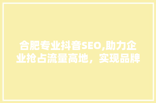 合肥专业抖音SEO,助力企业抢占流量高地，实现品牌价值最大化