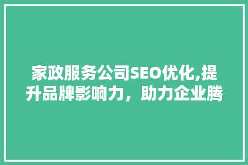 家政服务公司SEO优化,提升品牌影响力，助力企业腾飞