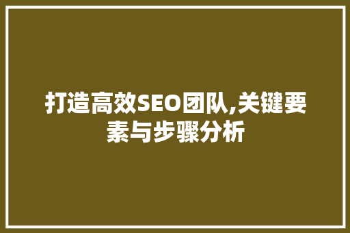 打造高效SEO团队,关键要素与步骤分析