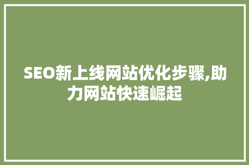 SEO新上线网站优化步骤,助力网站快速崛起