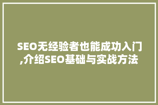 SEO无经验者也能成功入门,介绍SEO基础与实战方法  第1张