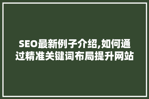 SEO最新例子介绍,如何通过精准关键词布局提升网站排名