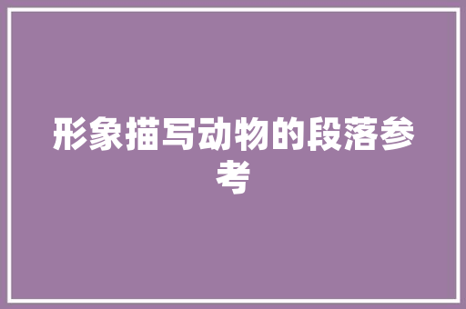 SEO站内优化步骤全介绍,助力网站提升排名与用户体验