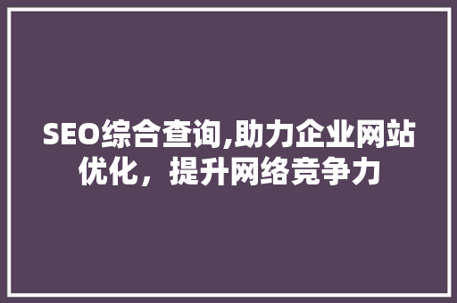 SEO综合查询,助力企业网站优化，提升网络竞争力  第1张